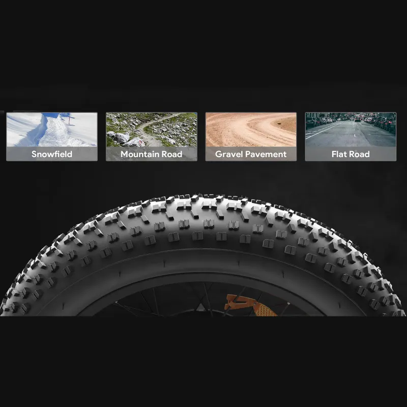 Vélo électrique tout-terrain ATLAS 250W Fat Bike - MSJ NEXGEN