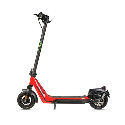 Trottinette électrique Zenda 500W - MSJ NEXGEN