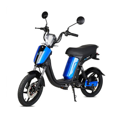 Vélo électrique Miami 250W longue autonomie - MSJ NEXGEN