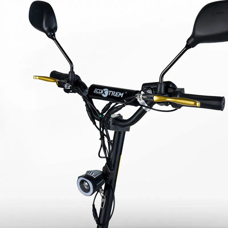 Trottinette électrique Aspide 2000W avec selle et plateforme en bois - MSJ NEXGEN
